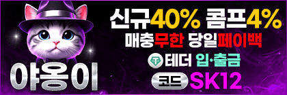야옹이.gif